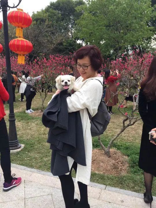 58歲的她，自駕房車旅居，一人兩犬，活成了自己喜歡的樣子